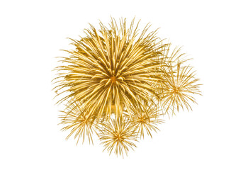 Obraz premium Golden firework burst isolated on transparent background
