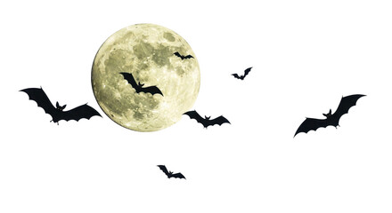 Bats silhouetted against a large, pale full moon in a night sky.