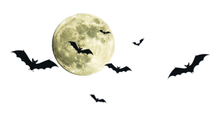 Bats silhouetted against a large, pale full moon in a night sky.