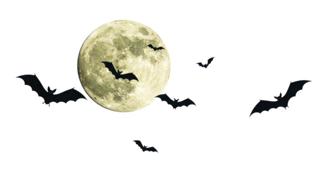 Bats silhouetted against a large, pale full moon in a night sky. - Powered by Adobe