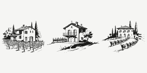 Fototapeta premium italian house with vineyard sketch illustration vector