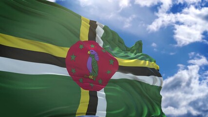 flag of Dominica. close up of dominican flag. dominican flag endless loop.