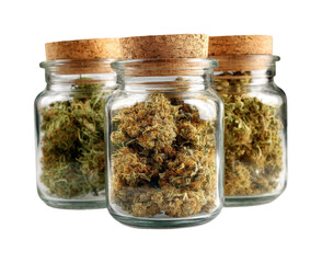 Storing premium cannabis products setup glass jars