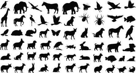 Animal silhouettes collection, wildlife icons, nature design elements, birds, mammals, reptiles, insects, fish, educational graphics, vector shapes, illustrations