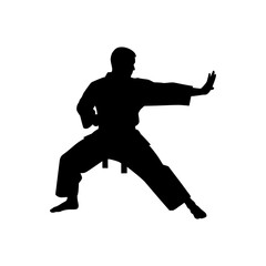 Fototapeta premium Silhouette of a person in a martial arts stance performing a block.