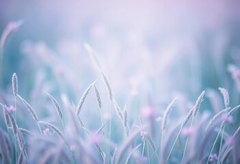Soft pastel blue & pink blooming grass field, macro close-up, ethereal, dreamy, atmospheric background, subtle, soft