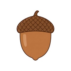 Brown acorn with textured cap isolated on white background