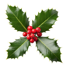 Christmas holly sprig with red berries isolated on transparent background