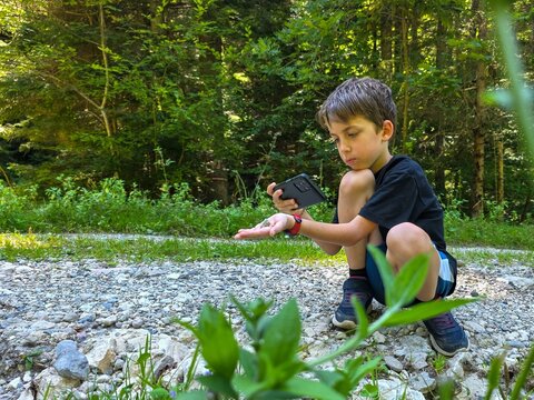 Young boy taking photographs in the forest with a smartphone