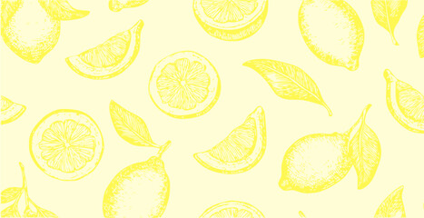 Lemons print, simple sketch style vector background	