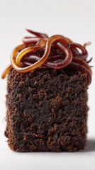 Earthworm soil organic compost close up nature vermicompost brown texture macro worm decomposition natural ecology environment biology dirt garden nutrient recycling decay habitat invertebrate