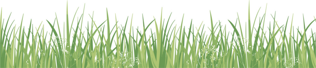 Green grass blades with white background and subtle textures nature field