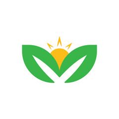 Sun Logo Vector Icon Template Illustration