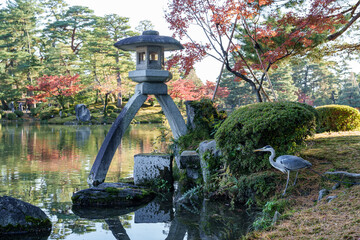 紅葉真っ盛りの金沢　日本三名園のひとつ兼六園