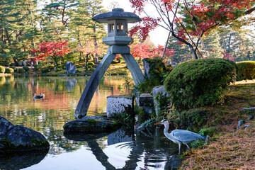 紅葉真っ盛りの金沢　日本三名園のひとつ兼六園