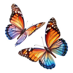 Two colorful butterflies flying on transparent background, vibrant and detailed