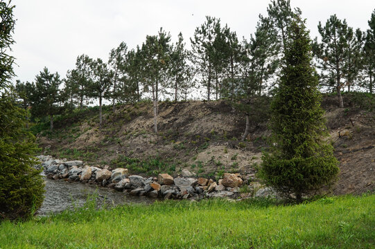 Landscape in a park with canals and coniferous trees - Powered by Adobe