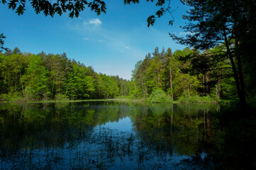 Spring panorama of a forest lake against a background of blue sky and distant mountains