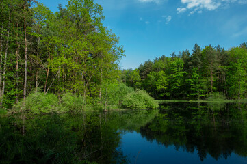 Spring panorama of a forest lake against a background of blue sky and distant mountains