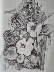 Sketch of flowers for decoration and material texture