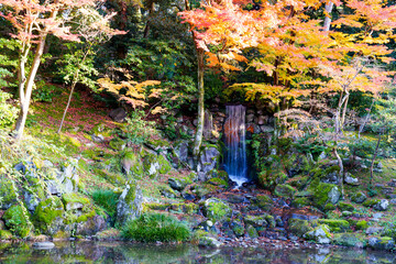 紅葉真っ盛りの金沢　日本三名園のひとつ兼六園