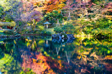 紅葉真っ盛りの金沢　日本三名園のひとつ兼六園