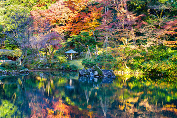 紅葉真っ盛りの金沢　日本三名園のひとつ兼六園