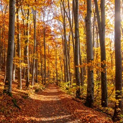 Fototapeta premium Sunlit path winds through autumn forest, golden leaves carpet the ground