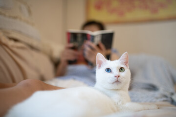リラックスする猫と読書中の飼い主