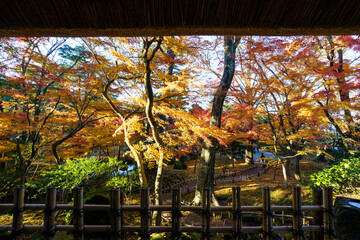 紅葉真っ盛りの金沢　日本三名園のひとつ兼六園