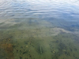 The clear shallow waters reveal a sandy bottom in summerseaso.