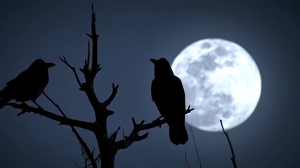 Silhouette of two crows perched on a bare tree branch at night under a full moon - Powered by Adobe