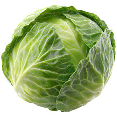 Obraz premium cabbage