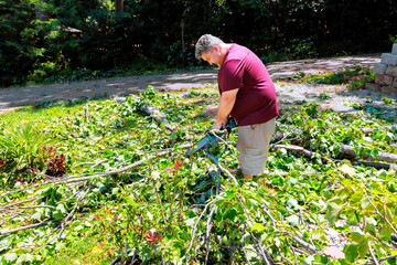 Individual works diligently to cut fallen branches clear greenery in home garden after thunder strong storm.
