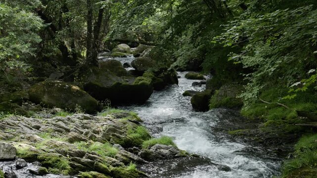 Mountain Stream Meandering through a Cool Virgin Forest. Large Volume of Water Flows Vigorously between Huge Rocks  |  Takinoyu River, Nagano, Japan