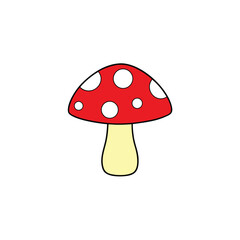 fly agaric mushroom