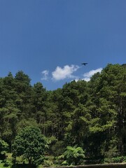 view from the mountain