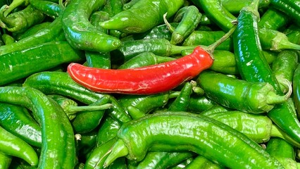 Fresh peppers of various shapes and sizes are displayed at a local market. Among the abundance of green peppers lies a single vibrant red pepper, adding a pop of color to the collection