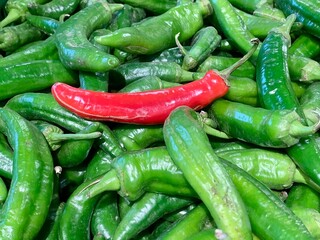 In a bustling market, a striking red chili pepper contrasts vividly with a sea of green peppers, highlighting the freshness and variety of the local produce available for shoppers