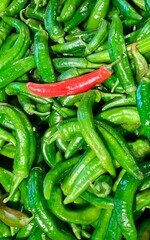 Vibrant green chili peppers fill a market display, showcasing their various shapes and sizes. A single red chili stands out, adding color to the arrangement