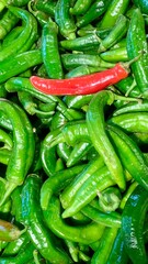A bustling marketplace filled with fresh produce showcases an array of green chilies and a singular red chili. The vibrant colors create an appealing display of freshness