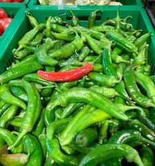 A variety of fresh green peppers fills a large green basket at a local market, with one vibrant red chili pepper standing out among them, showcasing local produce