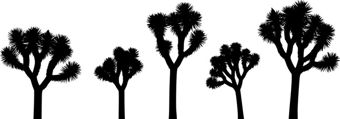 Joshua Trees Silhouette Vector Image
