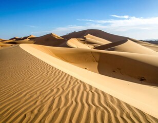 Desert Dunes Under Clear Sky