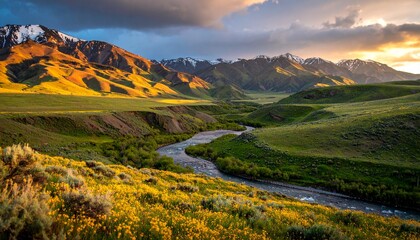 Remote alpine valley with crystal-clear river winding through golden meadows, surrounded by snow-dusted peaks under soft dawn light
