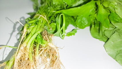 close up image of green spinach vegetable