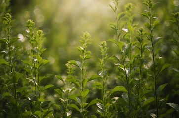 Bright Sunlight on Lush Green Plants Vertical Summer Nature ai generated