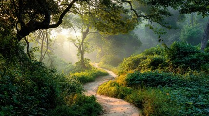 Obraz premium Serene Forest Path with Lush Greenery and Soft Morning Light Illuminating the Misty Landscape of Nature's Beauty