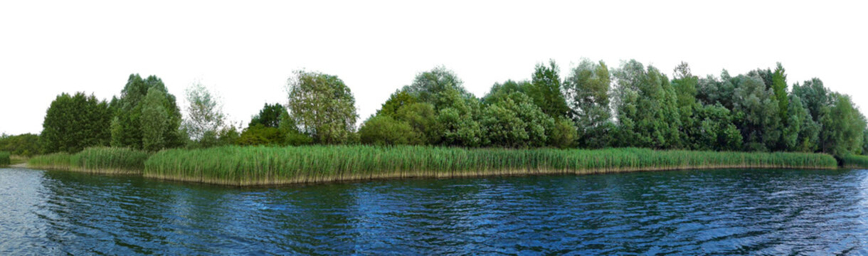 blue water lake with trees and reeds landscape isolated on white or transparent png