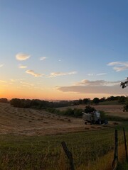 sunset over the field